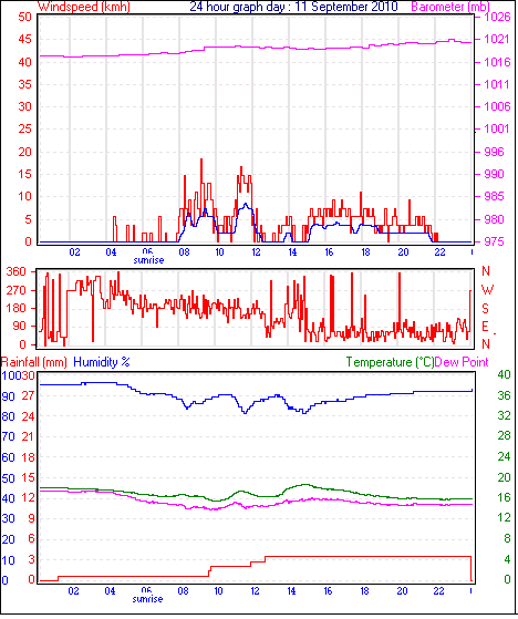 24 Hour Graph for Day 11