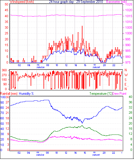 24 Hour Graph for Day 29